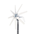 1kw Mini Horizontal Wind Turbine Generator For Home